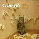 ���� �����, ������, 71 ��� - ��������� 18 ������ 2019