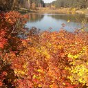 ���� ������� *****, �������, 46 ��� - ��������� 22 �������� 2019 � ������ ���� ����������