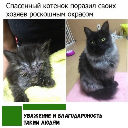 !    