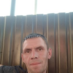 �����, �������, 44 ����