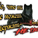 ���� �������, ����-���, 54 ���� - ��������� 14 ���� 2019 � ������ ���� ����������