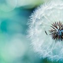 ���� ���, ���������, 39 ��� - ��������� 3 ��� 2019 � ������ ���� ����������