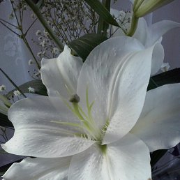 ���� )))�(((, ��������� - ��������� 19 ���� 2019