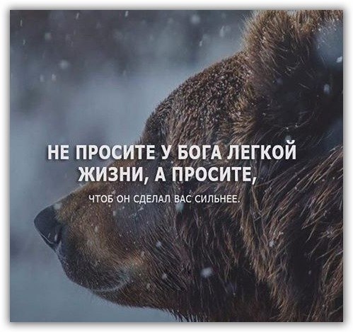 Легкой жизни я дурак просил у Бога. Легкой смерти надо бы просить.