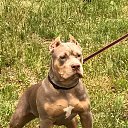 ����� 6 ������� �� ������� ���� ����������