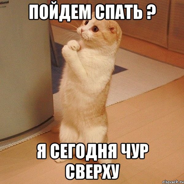 :)  .... )))))))