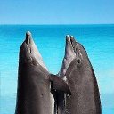 ���� �����, ���������, 41 ��� - ��������� 24 ������ 2019 � ������ ������ ��������