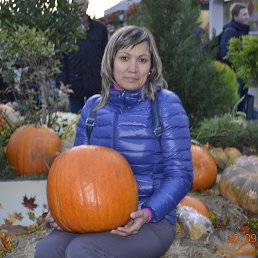 ���� �������, ������, 37 ��� - ��������� 17 ��� 2019