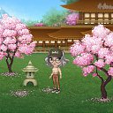 ���� ����, ����, 29 ��� - ��������� 6 ������ 2019