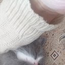 ���� �����, �������������, 58 ��� - ��������� 29 ��� 2019 � ������ ���� ����������