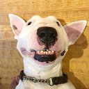 ���� ����, �������, 40 ��� - ��������� 30 ������ 2019 � ������ ���� ����������