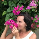 ���� �������, ����������, 51 ��� - ��������� 18 ���� 2019