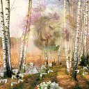 ���� �������, ���� - ��������� 13 ������ 2019 � ������ ���� ����������