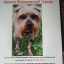 ���� �����, ������, 50 ��� - ��������� 12 ��� 2019 � ������ ���� ����������