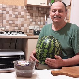 ����, ��������, 75 ���