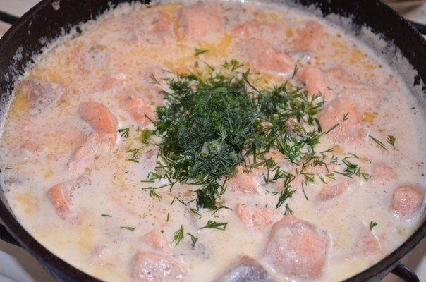   - .:  500        ... - 5