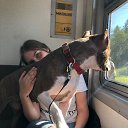 ���� ������, ������, 25 ��� - ��������� 28 ������� 2019