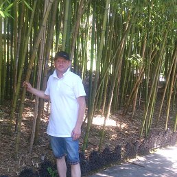 ���� �����, ������, 47 ��� - ��������� 19 ���� 2019