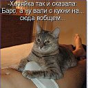 ���� �����, �����, 41 ��� - ��������� 12 ������ 2019 � ������ ������ ��������