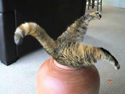 �������, ��� �� �����? �������... - 3