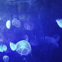 ���� Sandra, ������ - ��������� 6 ��� 2019 � ������ �������������