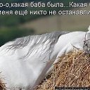 ���� �������, ������, 60 ��� - ��������� 18 ������ 2019 � ������ ���� ����������