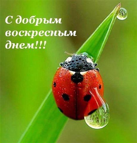 Уля *** - 6 июля 2019 в 12:20
