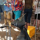 ���� �������, ���������, 49 ��� - ��������� 23 ���� 2019 � ������ ��������-2019�