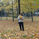 ���� �����, �������� - ��������� 7 ������� 2019 � ������ ���� ����������