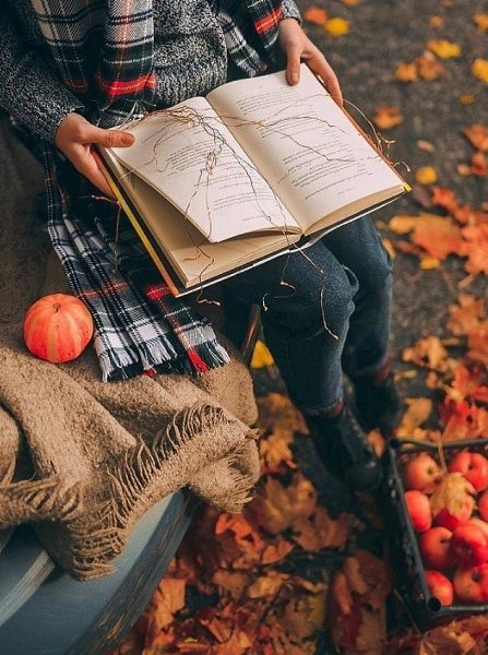 ��������, ����������, ������. ������� ������ �����