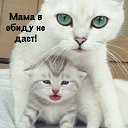 ���� ���, ������, 47 ��� - ��������� 12 ������� 2019
