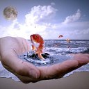 ���� ������, ����������� - ��������� 18 ������� 2019 � ������ ���� ����������