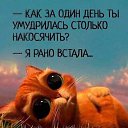 ���� �����, ��������, 55 ��� - ��������� 1 ������� 2019 � ������ ���� ����������