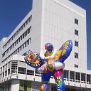 ���� �������, �����-��������� - ��������� 7 ���� 2019 � ������ ���������, ��������