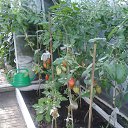 ���� �����, ��������� - ��������� 19 ������� 2019 � ������ ���� ����������