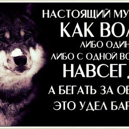 ���� ����, ��������, 42 ���� - ��������� 26 ������� 2019