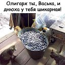 ���� ���������, ������� - ��������� 2 ������� 2019 � ������ ������ ��������