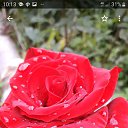 ���� �������, ������, 50 ��� - ��������� 30 ������ 2019