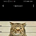 ���� ����, �����, 50 ��� - ��������� 18 ������ 2019 � ������ ���� ����������