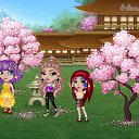 ���� �����, ������ ���, 31 ��� - ��������� 12 ������ 2019 � ������ �Tropikania�