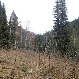 ���� ����, ������, 52 ���� - ��������� 8 ������ 2019