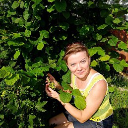 O&lambda;e��a &bull;&hearts;&hearts;&hearts;&bull;&hearts;&bull;, �������, 50 ���