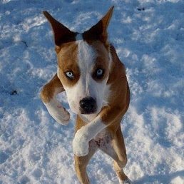 ����, ������, 39 ���