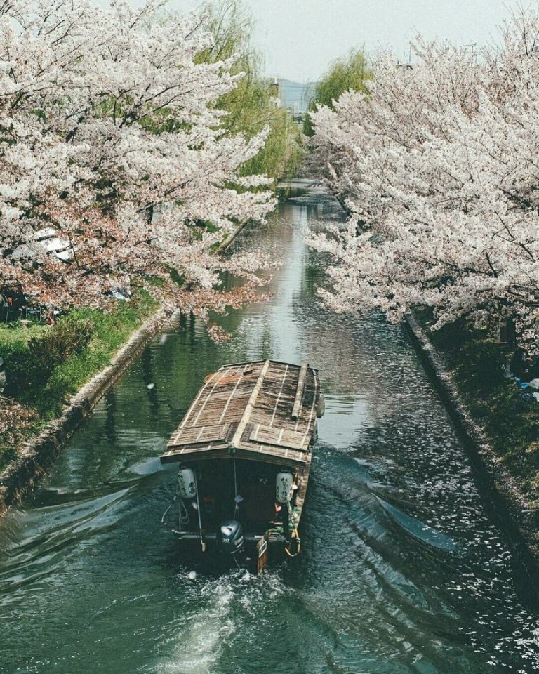 Kyoto, Japan