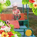 ���� ����������, �����������, 46 ��� - ��������� 11 ������� 2019 � ������ ���� ����������