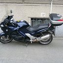 ���� �����, �����-���������, 54 ���� - ��������� 27 ������ 2019