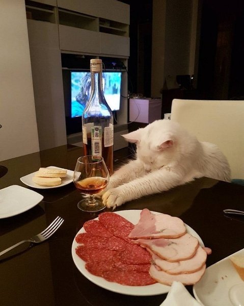 Василию больше не наливать.#юмор@bon