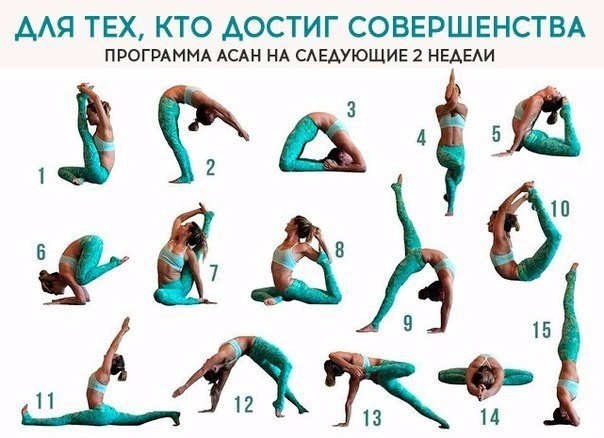  | Yoga - 11  2019  19:05