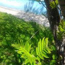 ���� ������, ������������ - ��������� 27 ���� 2019 � ������ ������ � �������������
