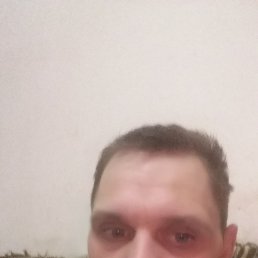 �������, ������, 40 ���